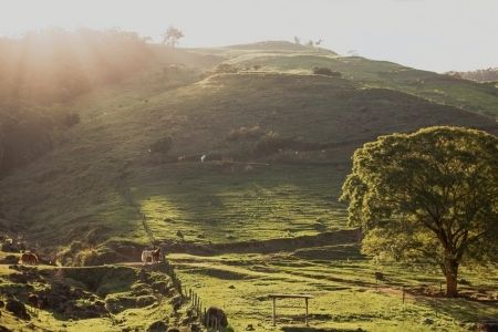 Polo By Carlos Diaz UK