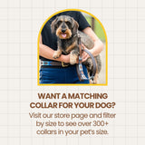 SOLANO - Polo Dog Lead