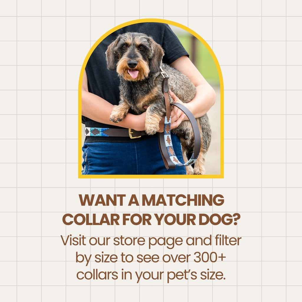 BALLESTER - Polo Dog Lead