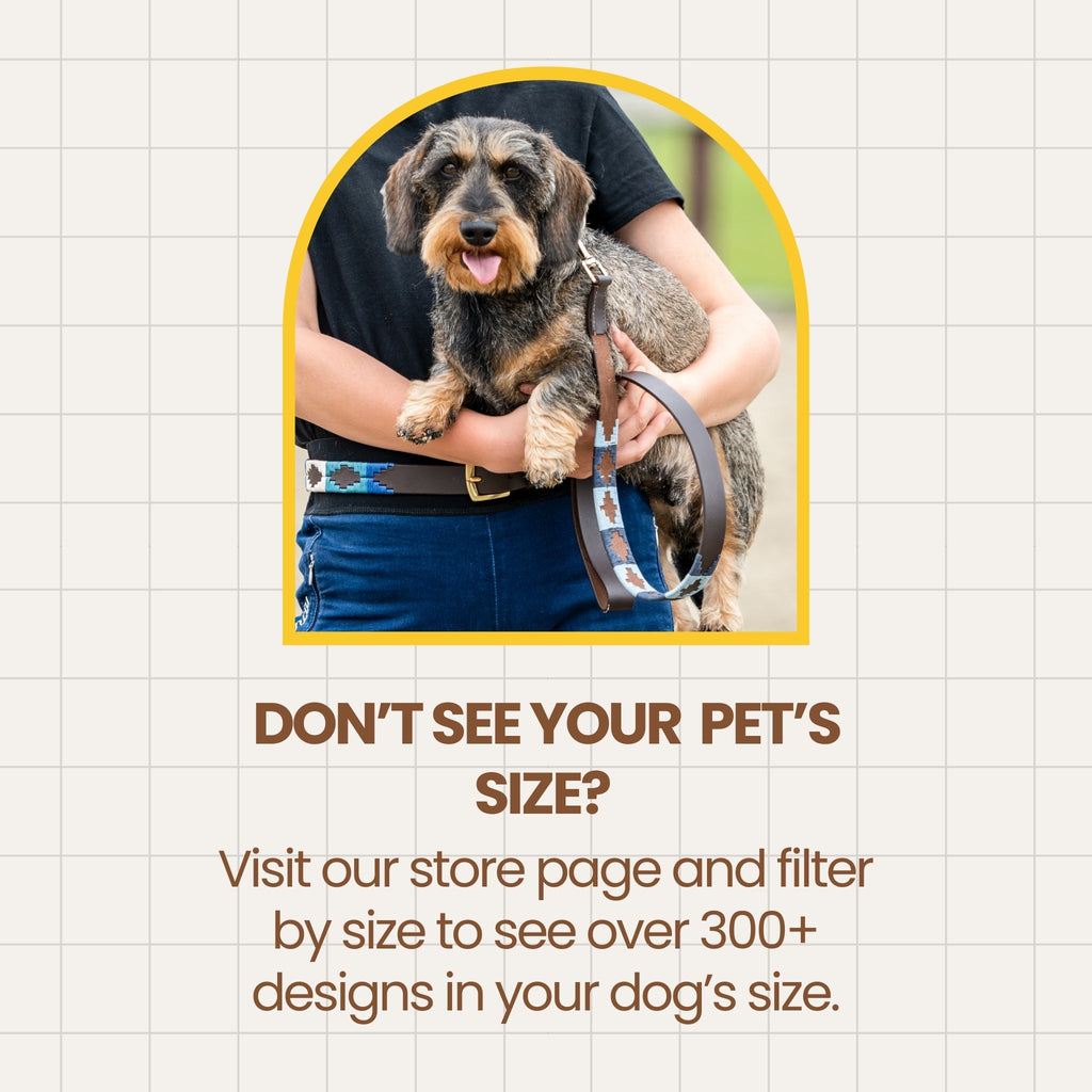 GREGORIO - Polo Dog Collar