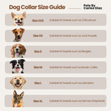 GARÍN - Polo Dog Collar