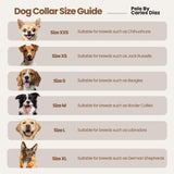 CALAMUCHITA - Polo Dog Collar