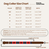 CHILECITO - Polo Dog Collar