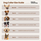 ALEJANDRO - Polo Dog Collar & Lead Set