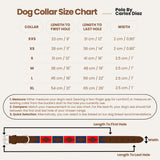 CASANOVA - Polo Dog Collar & Lead Set