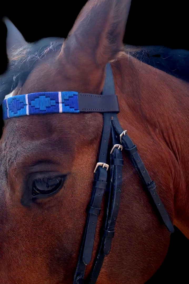 browbands