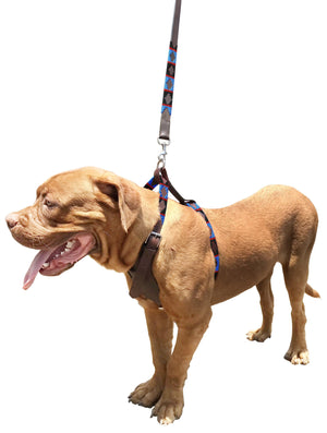 ARECO - Polo Dog Harness & Lead Set