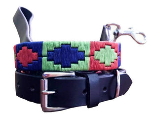 CONSTITUCIÓN - Polo Dog Collar & Lead Set