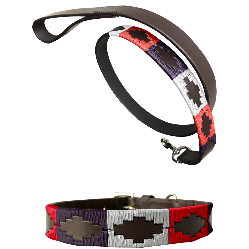 ALTA GRACIA - Polo Dog Collar & Lead Set