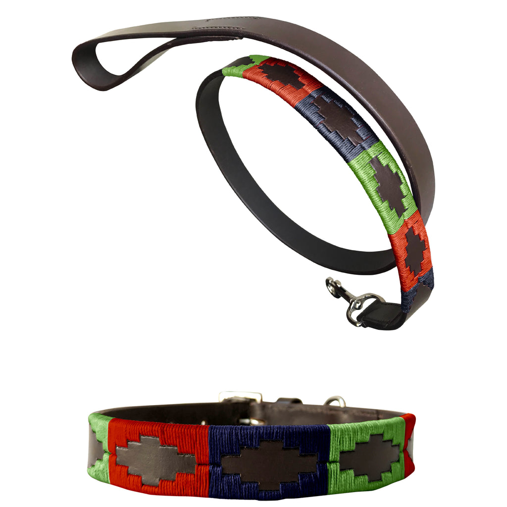 Polo dog collar sales