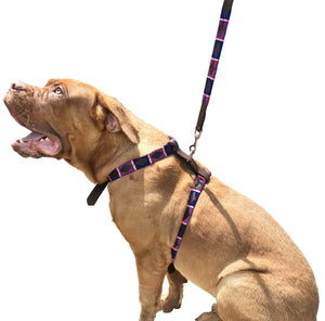 FIORITO - Polo Dog Harness & Lead Set