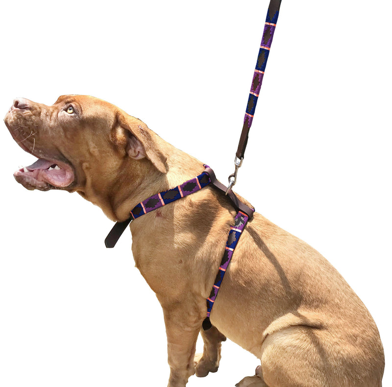 FIORITO - Polo Dog Harness & Lead Set