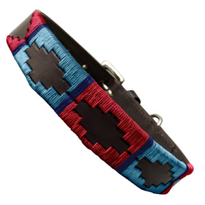 TESEI - Polo Dog Collar