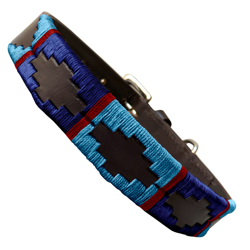 CALINGASTA - Polo Dog Collar