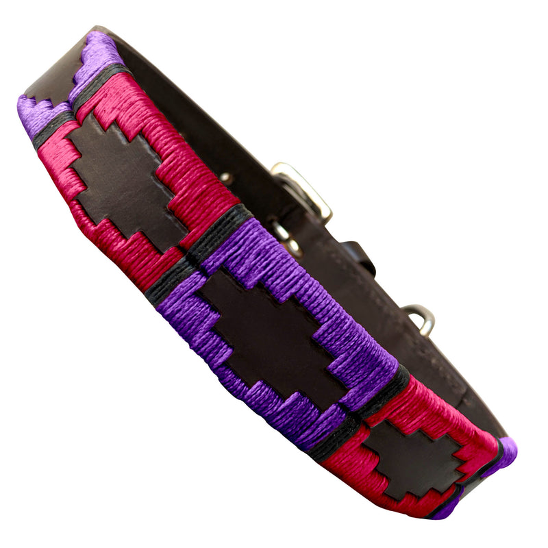 TOSTADO - Polo Dog Collar