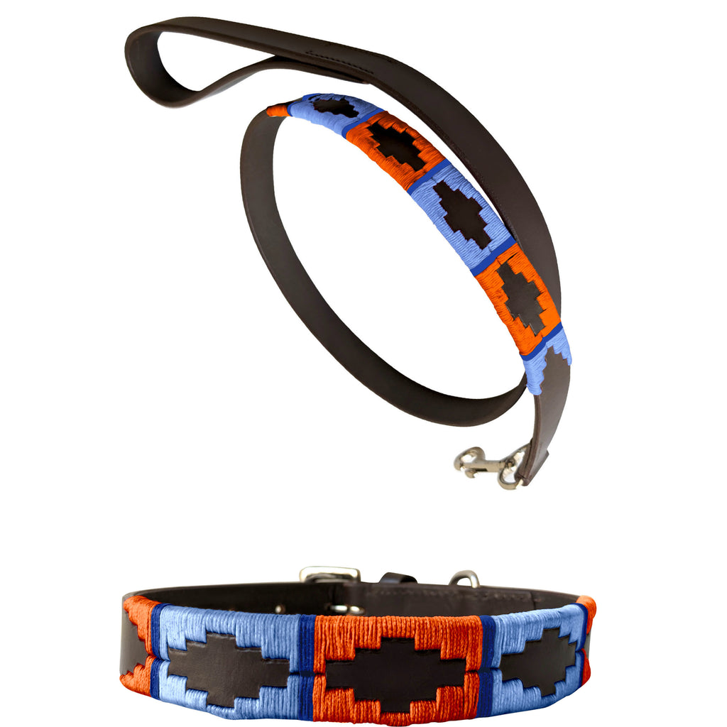 TESEI - Polo Dog Collar & Lead Set