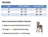 FIORITO - Polo Dog Harness & Lead Set