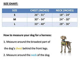 ANDALGALÁ - Polo Dog Harness & Lead Set
